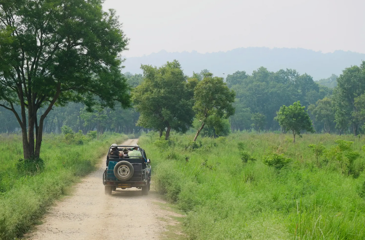 Delhi Corbett Weekend Tour